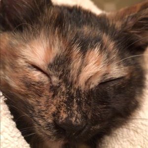 Meet your Posher, Becky